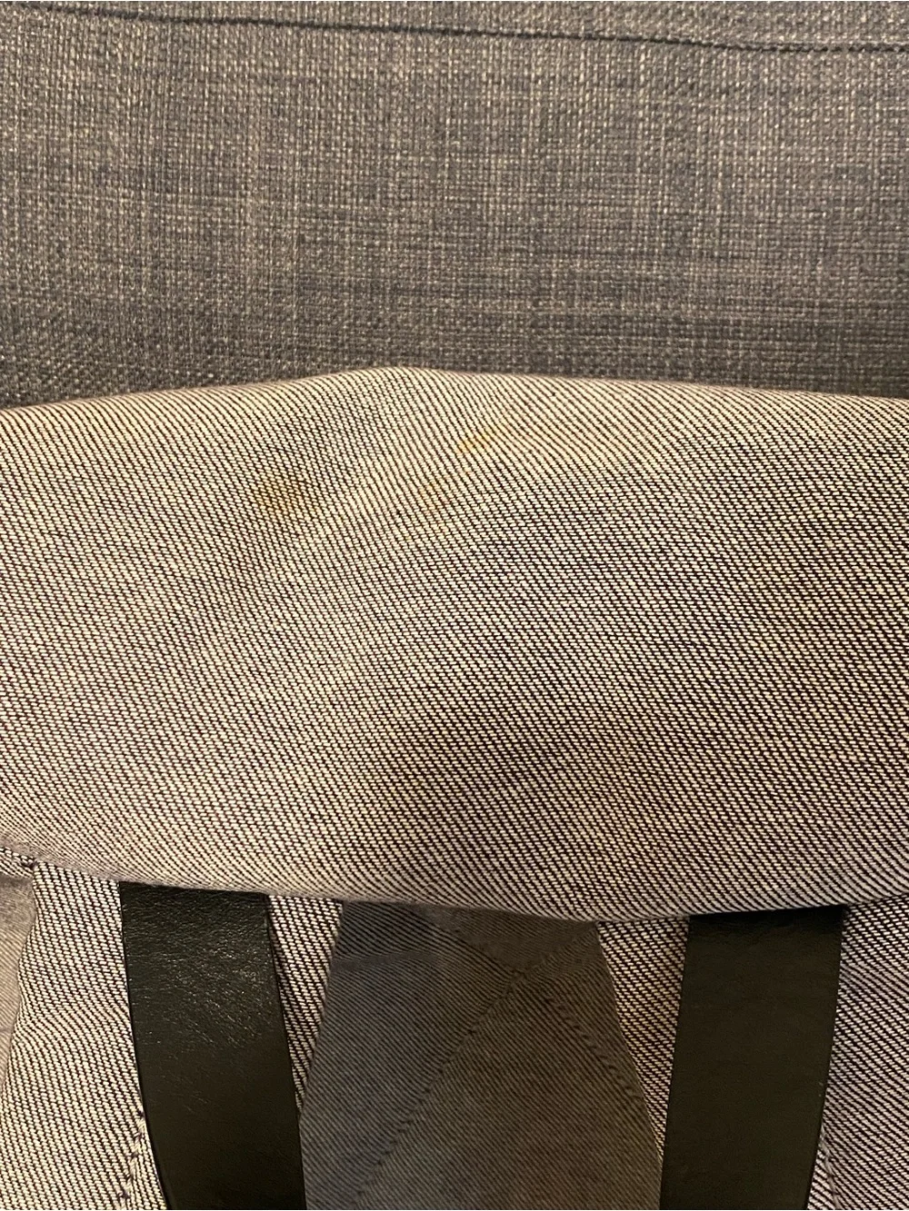Everlane canvas backpack
